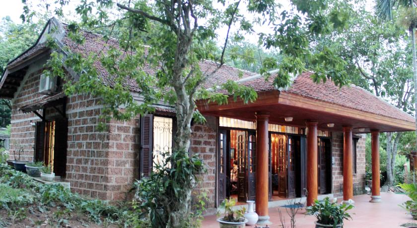 ba-vi-homestead-trang-trai-đong-que-ba-vi