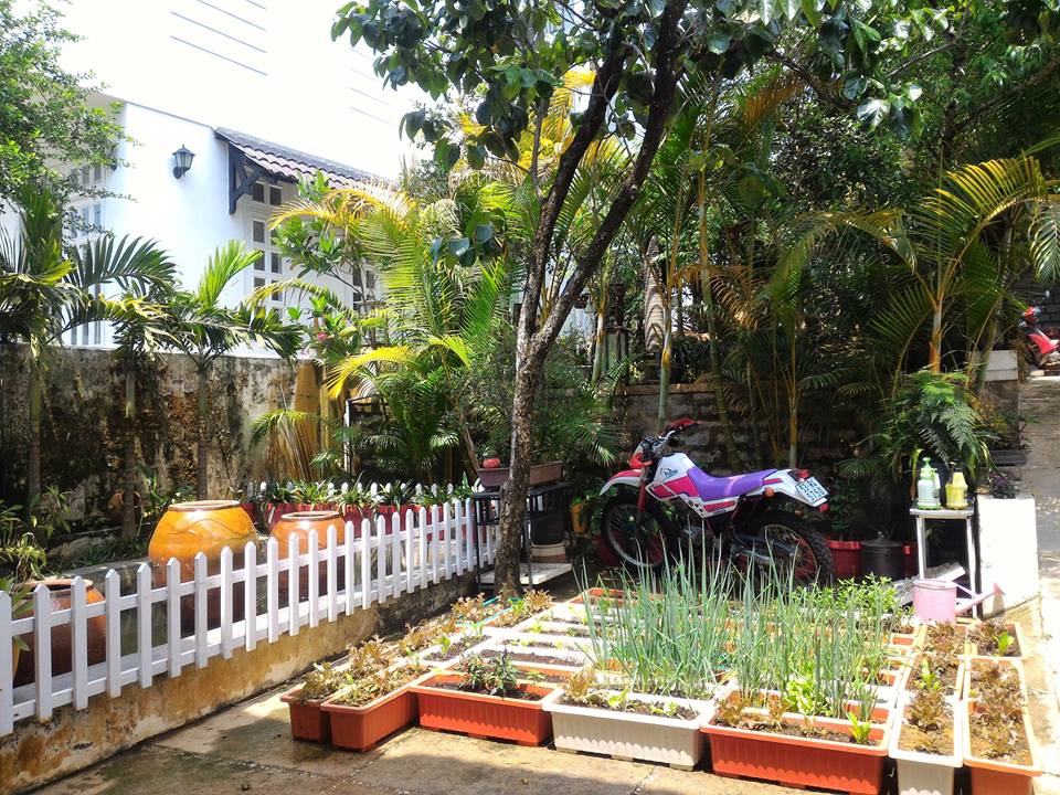 13096325_1038888999493742_4370850575635330319_n