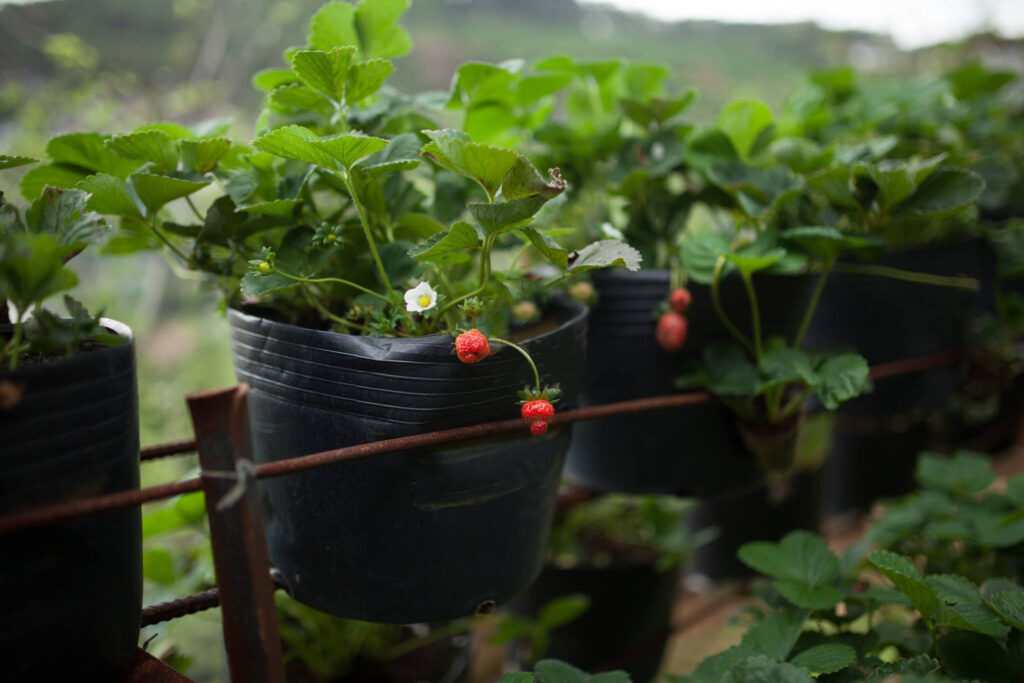 14918825_224408881314140_7923589469497999083_o