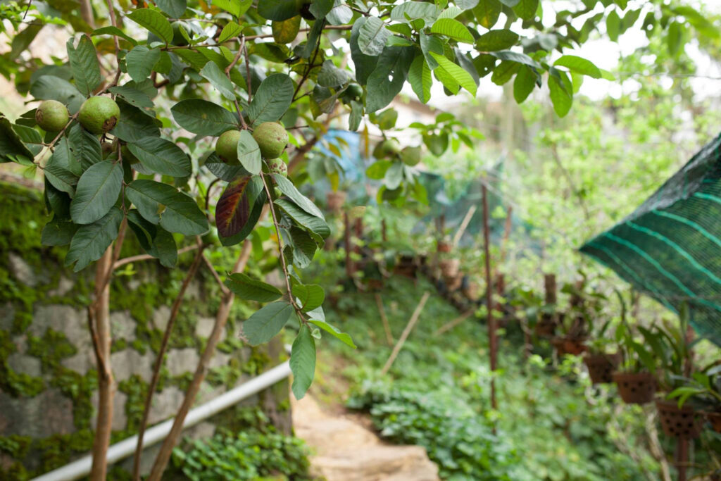 14918881_224409047980790_7722207626889368813_o