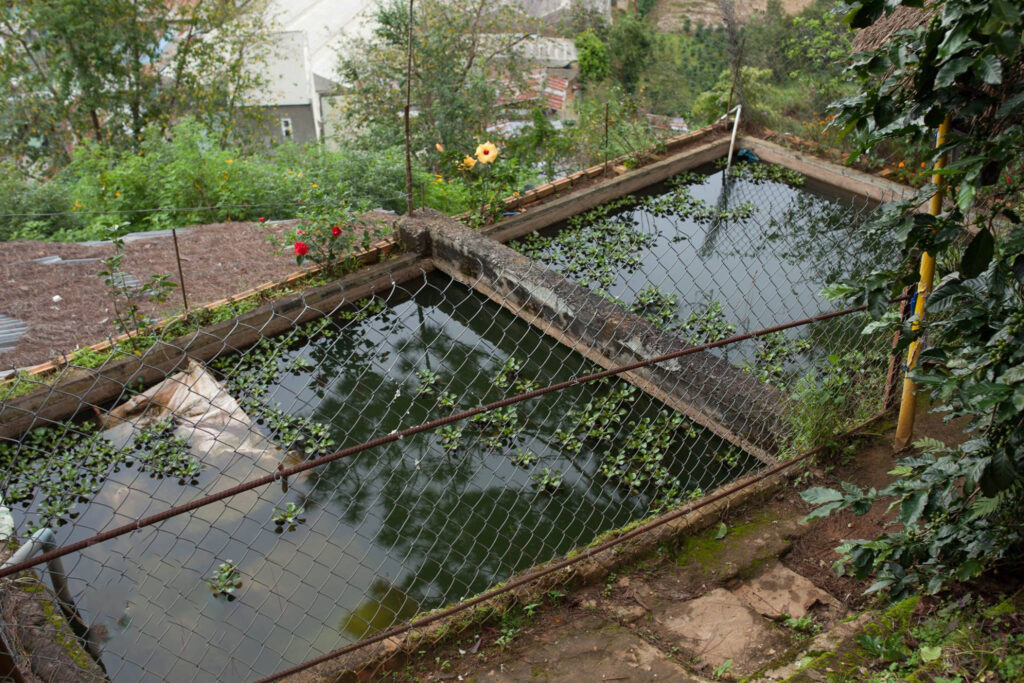 14939345_224409077980787_5514186073277079497_o