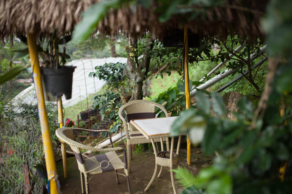 14939623_224408727980822_4224284364964927092_o