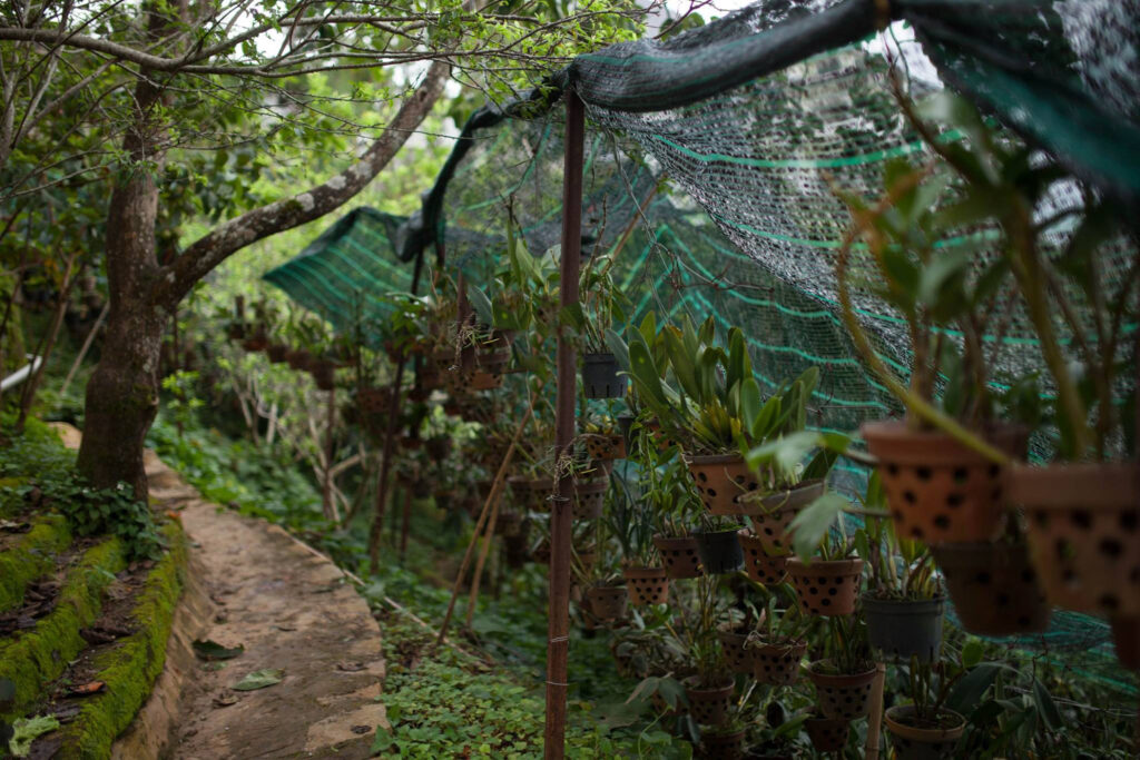 14940080_224408747980820_3449237545061073091_o