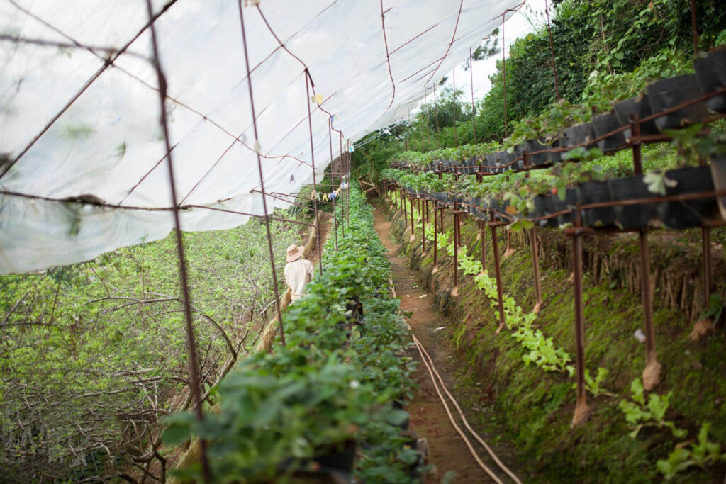 15000006_224408914647470_9010039708515414609_o