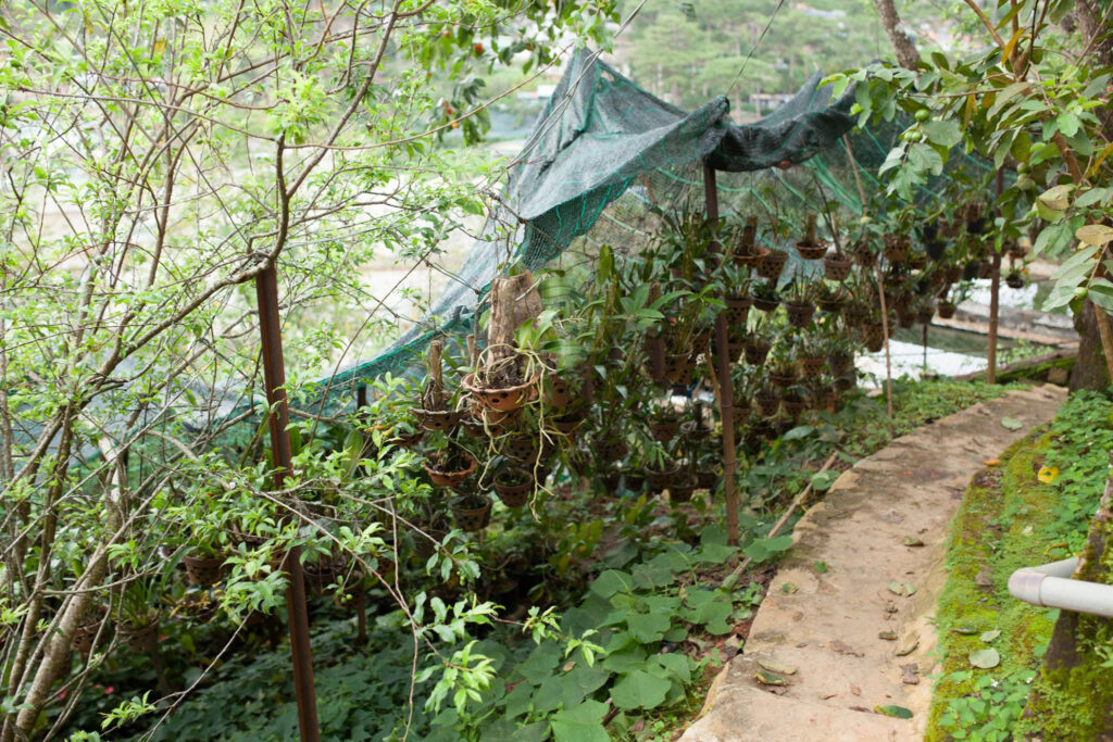 15000087_224409081314120_7031920754165548525_o