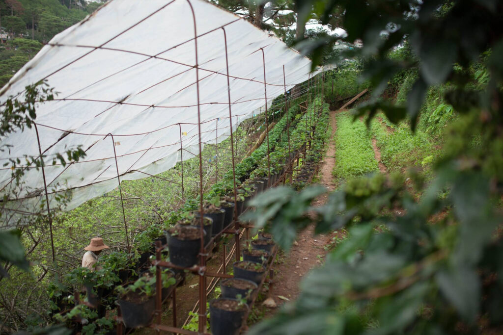 15003183_224408911314137_1321349365393005307_o