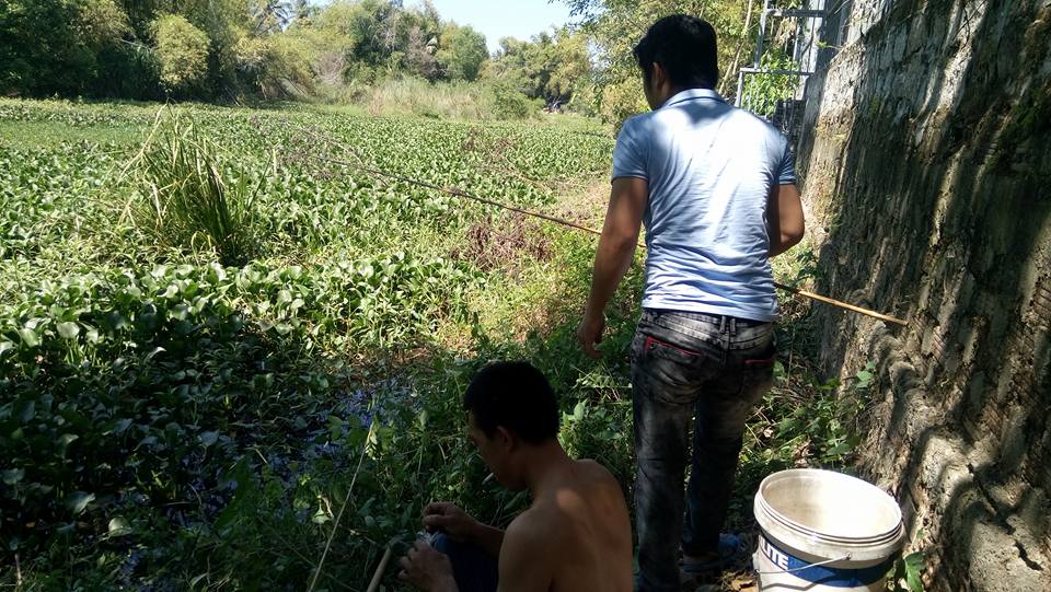 9189_1715128308770545_4497371299721546625_n