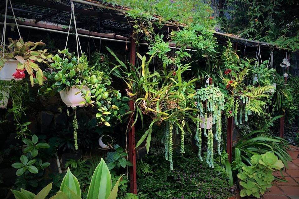 Villa Triệu Việt Vương