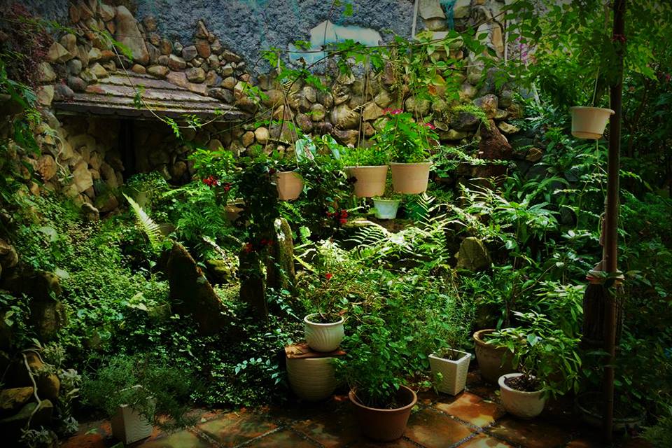 Villa Triệu Việt Vương