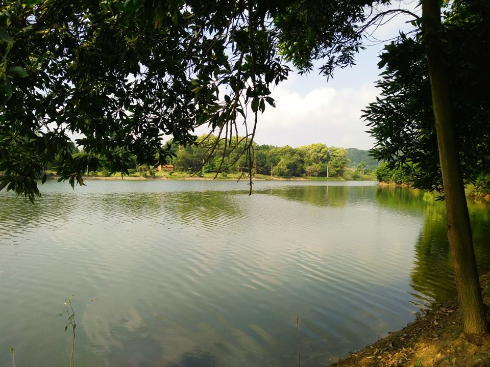 villa-doi-thong-soc-son-ha-noi