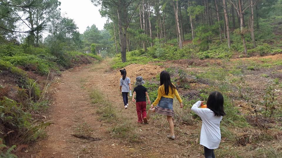 villa-doi-thong-soc-son-ha-noi