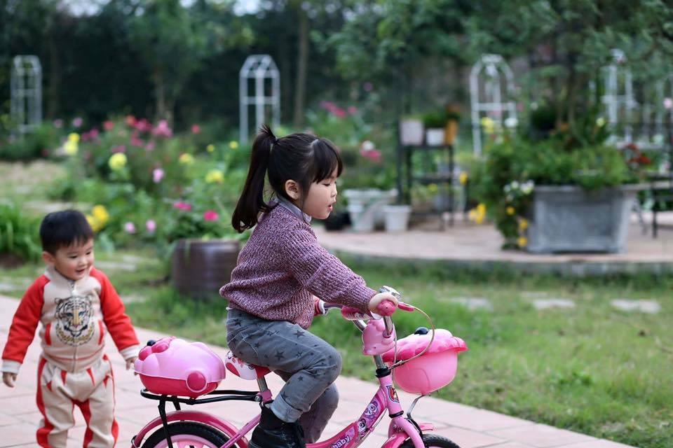 flower-villa-1-soc-son