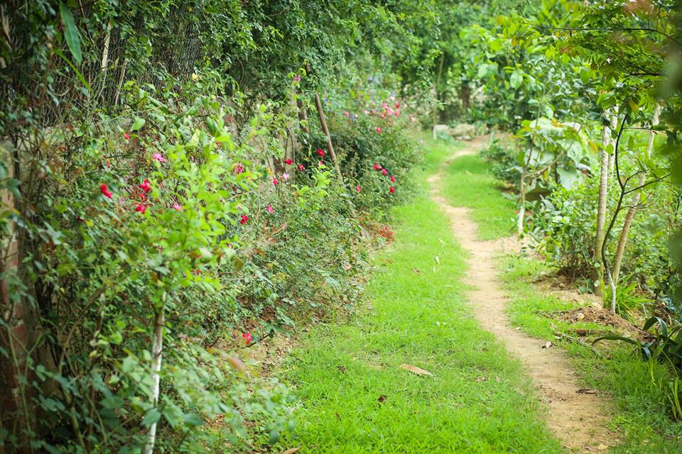 flower-villa-1-soc-son