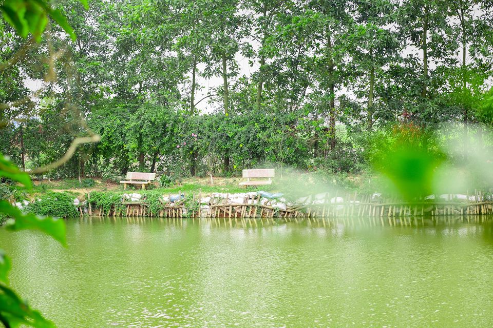 flower-villa-1-soc-son