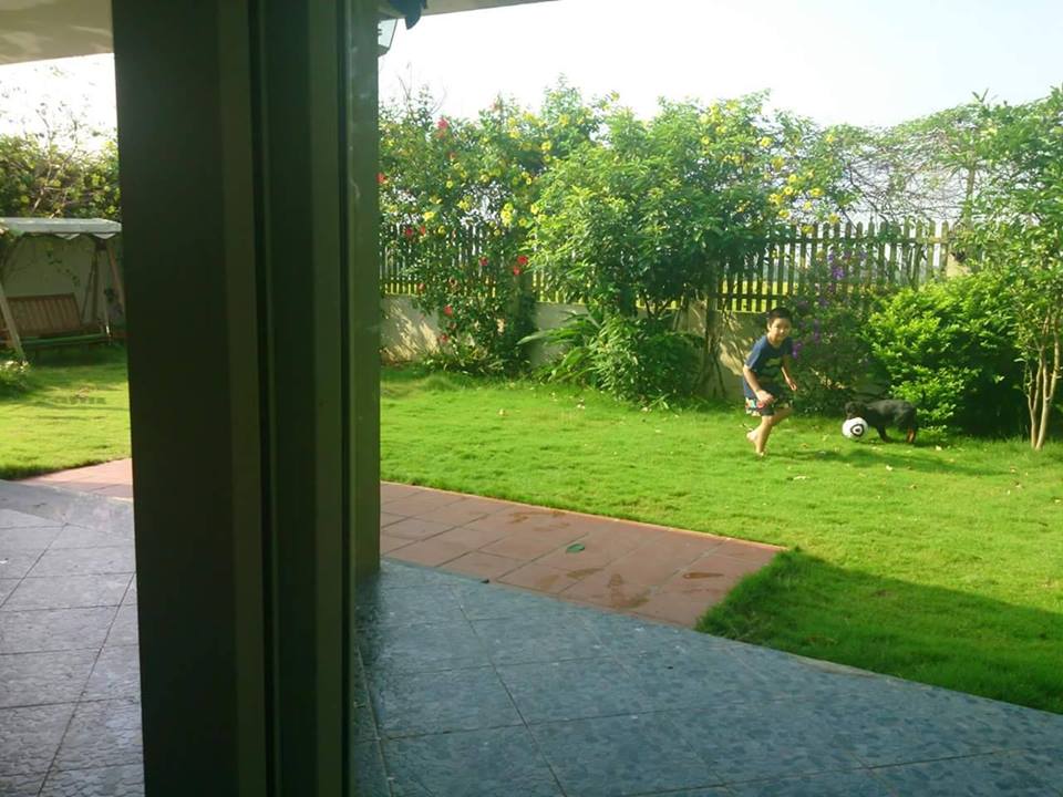 flower-villa-2-soc-son