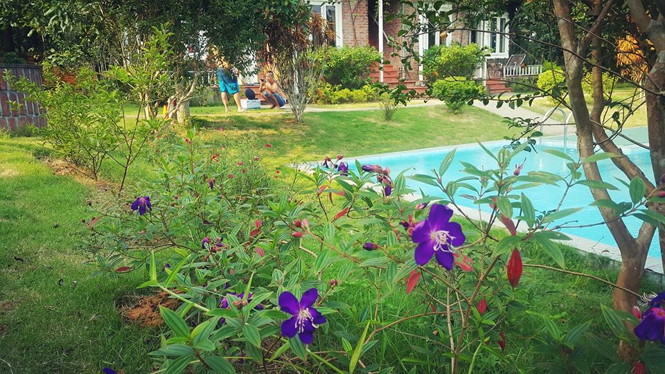 rose-house-ba-vi-ha-noi