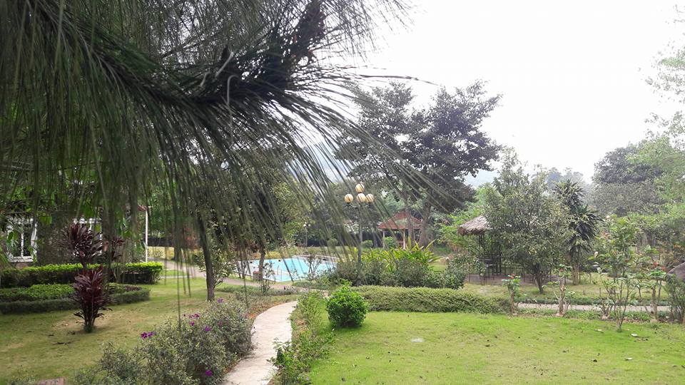 rose-house-ba-vi-ha-noi