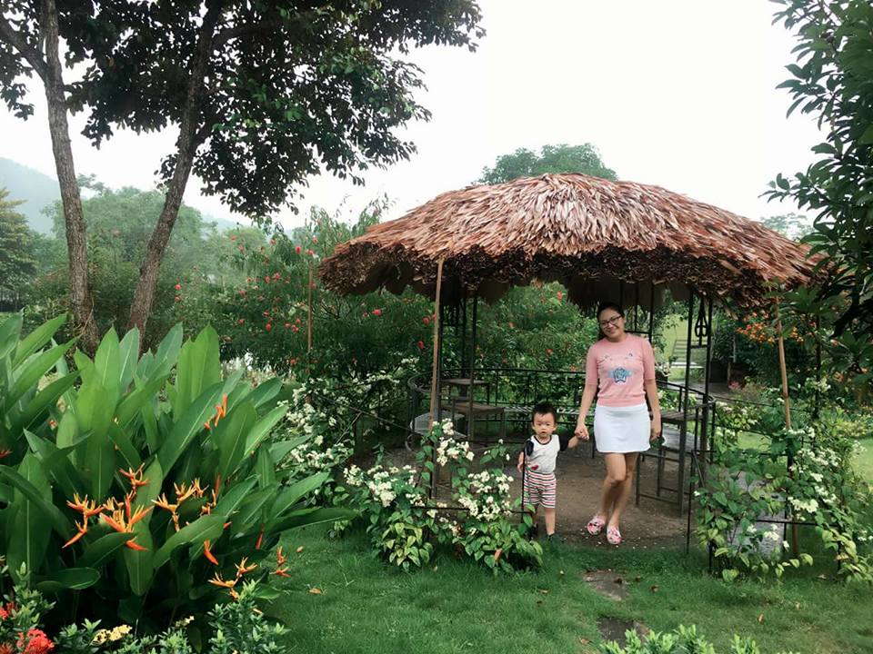 rose-house-ba-vi-ha-noi