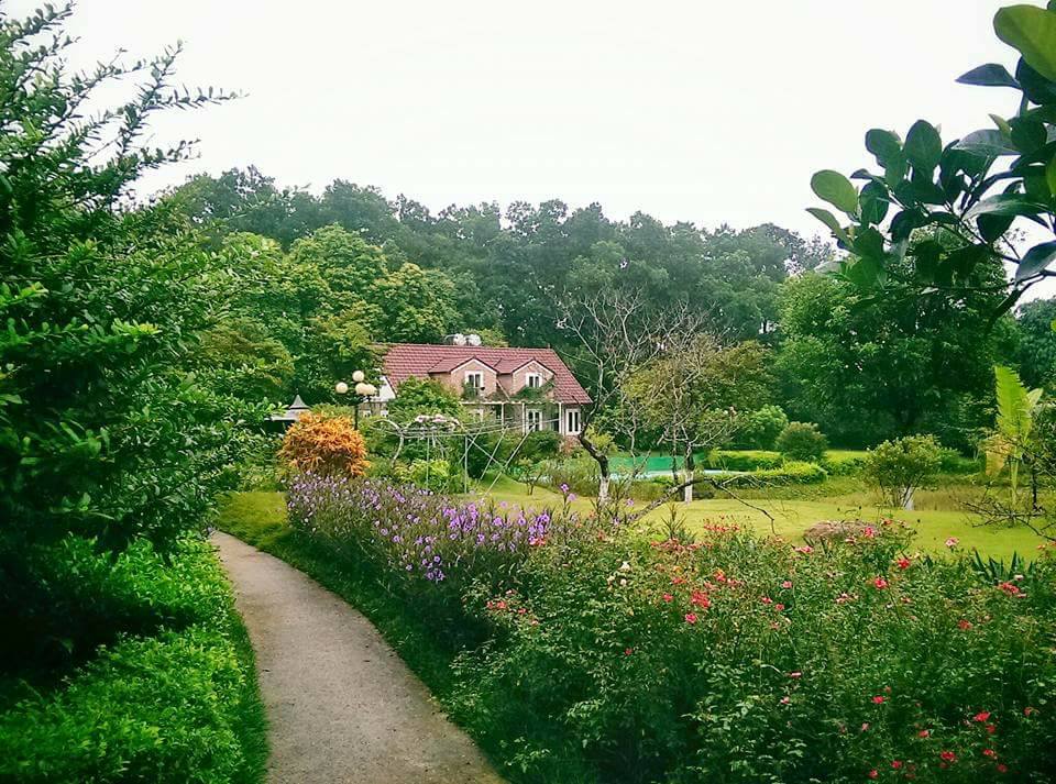 rose-house-ba-vi-ha-noi