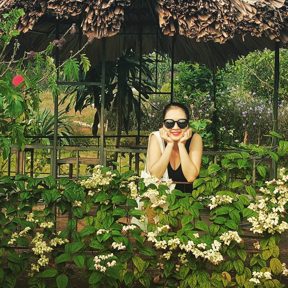 rose-house-ba-vi-ha-noi