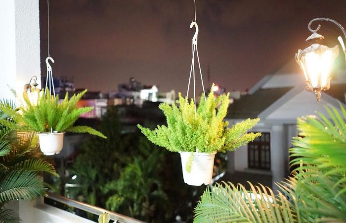 phong-lan-villa-binh-thach-2