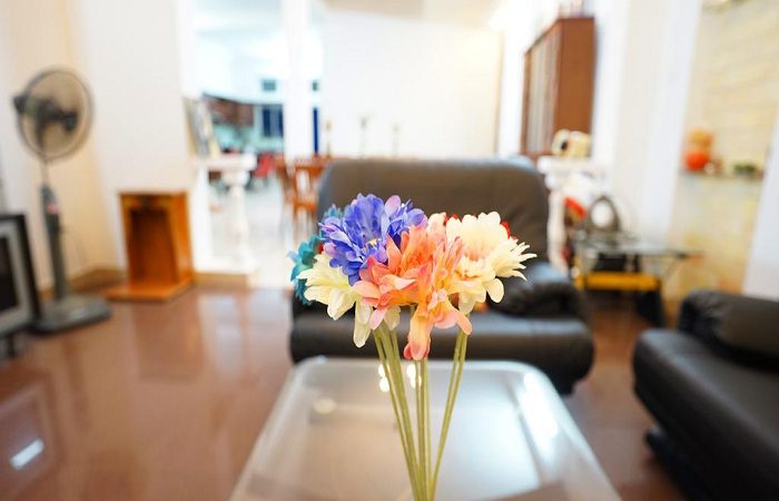 phong-lan-villa-ho-chi-minh-4