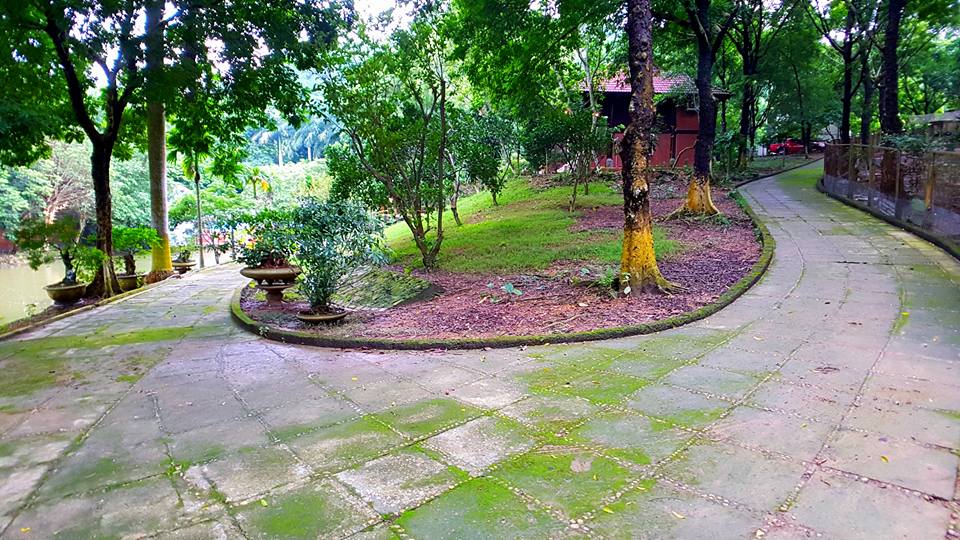 na-house-villa-thach-that-ha-noi