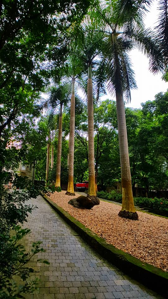 na-house-villa-thach-that-ha-noi