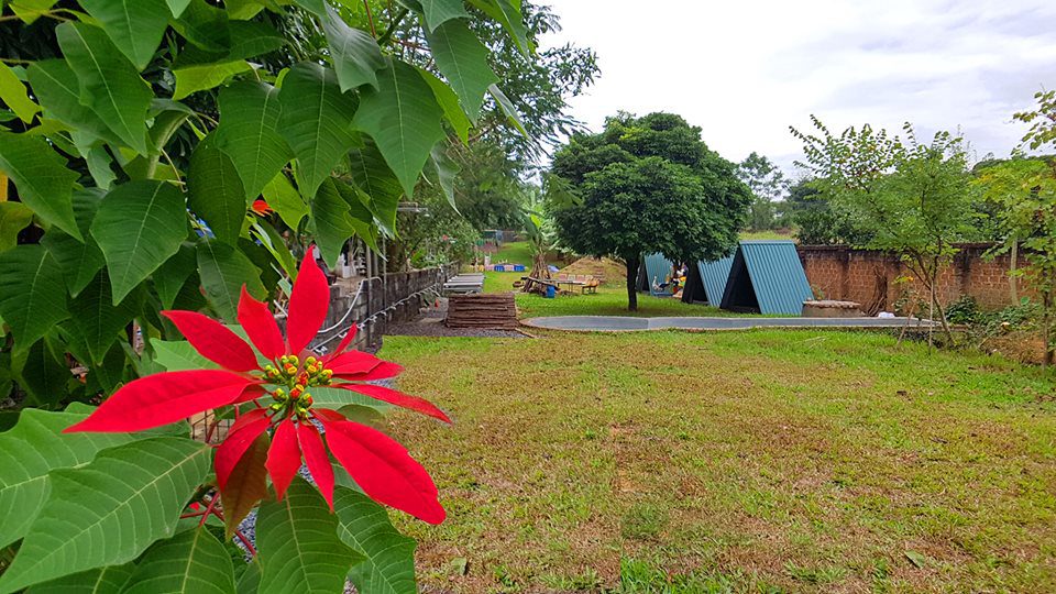 mimi-house-villa-quoc-oai-ha-noi