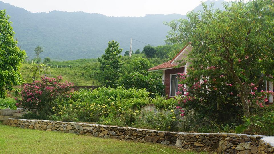 tuong-vi-biet-thu-thach-that