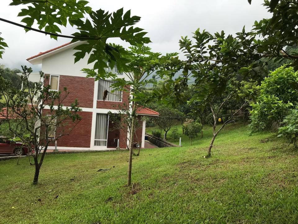 tuong-vi-biet-thu-thach-that