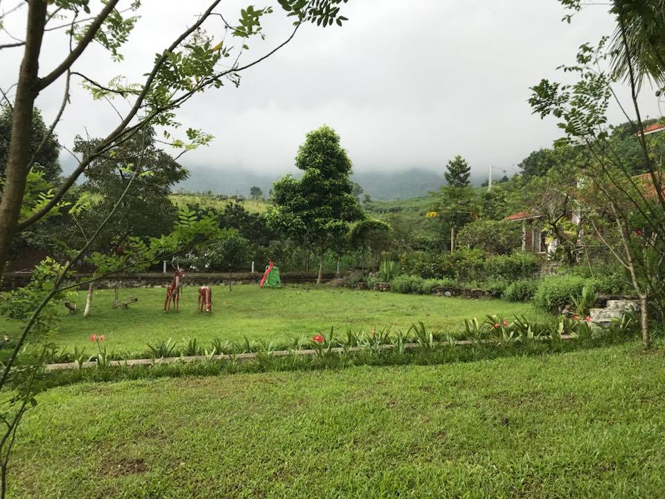 tuong-vi-biet-thu-thach-that