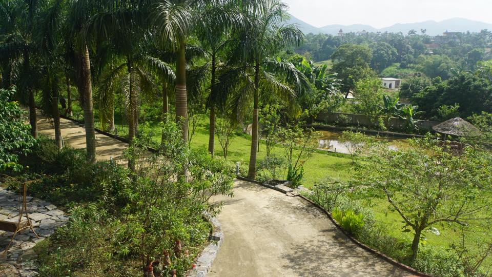 tuong-vi-biet-thu-thach-that