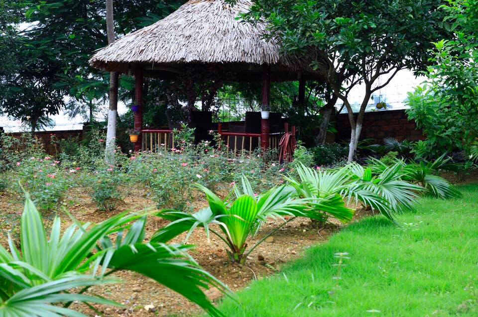 tree-house-ba-vi-ha-noi