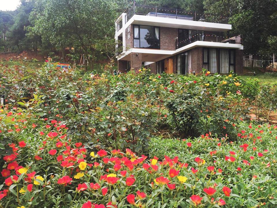 the-home-villa-soc-son