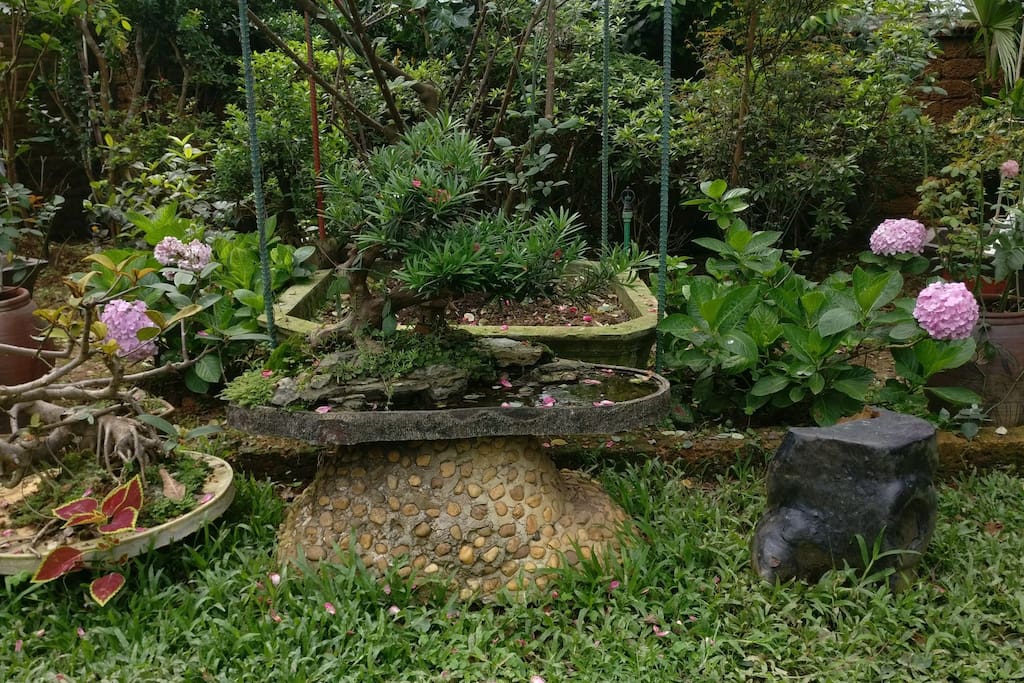 hoa-tra-villa-quoc-oai-ha-noi