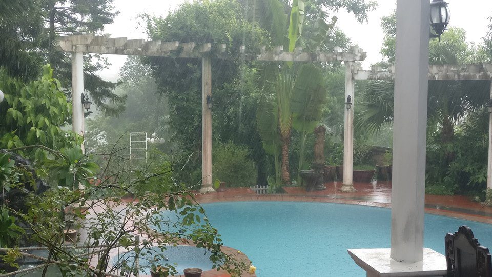 hoa-tra-villa-quoc-oai-ha-noi