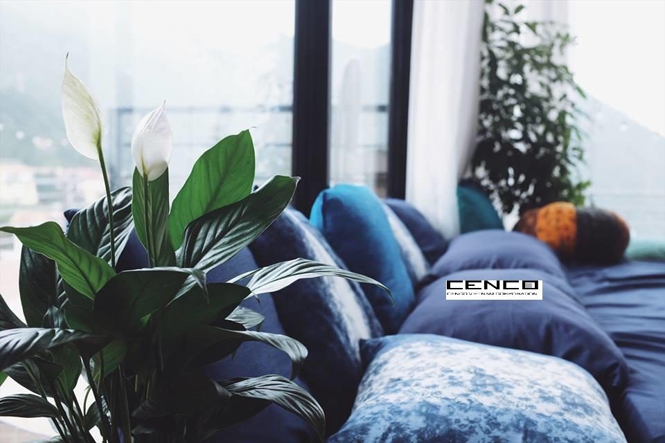 homestay-thi-tran-tam-dao-28