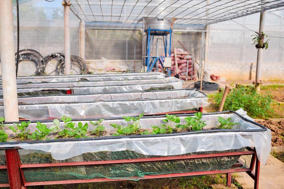 anna-house-co-dong-son-tay-ha-noi