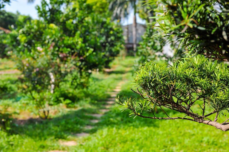 anna-house-co-dong-son-tay-ha-noi