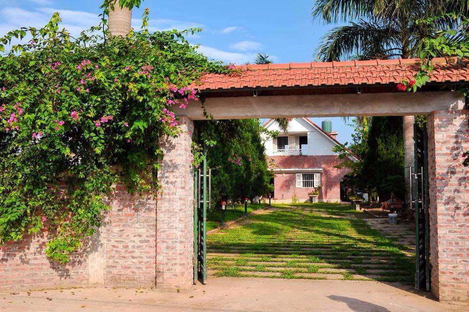 anna-house-co-dong-son-tay-ha-noi