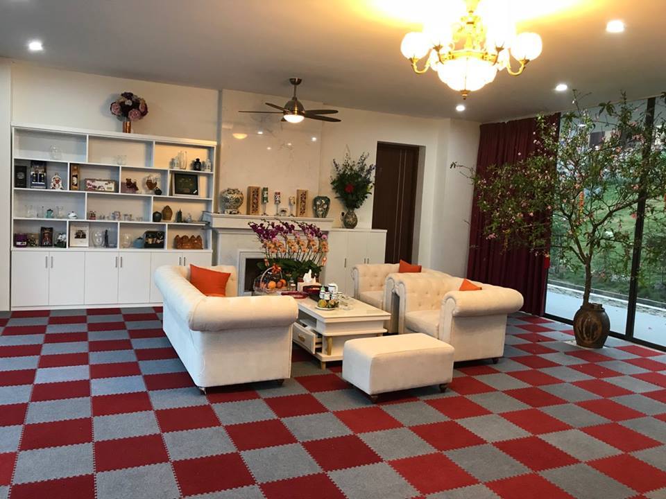 villa-anh-dao-thach-that-ha-noi