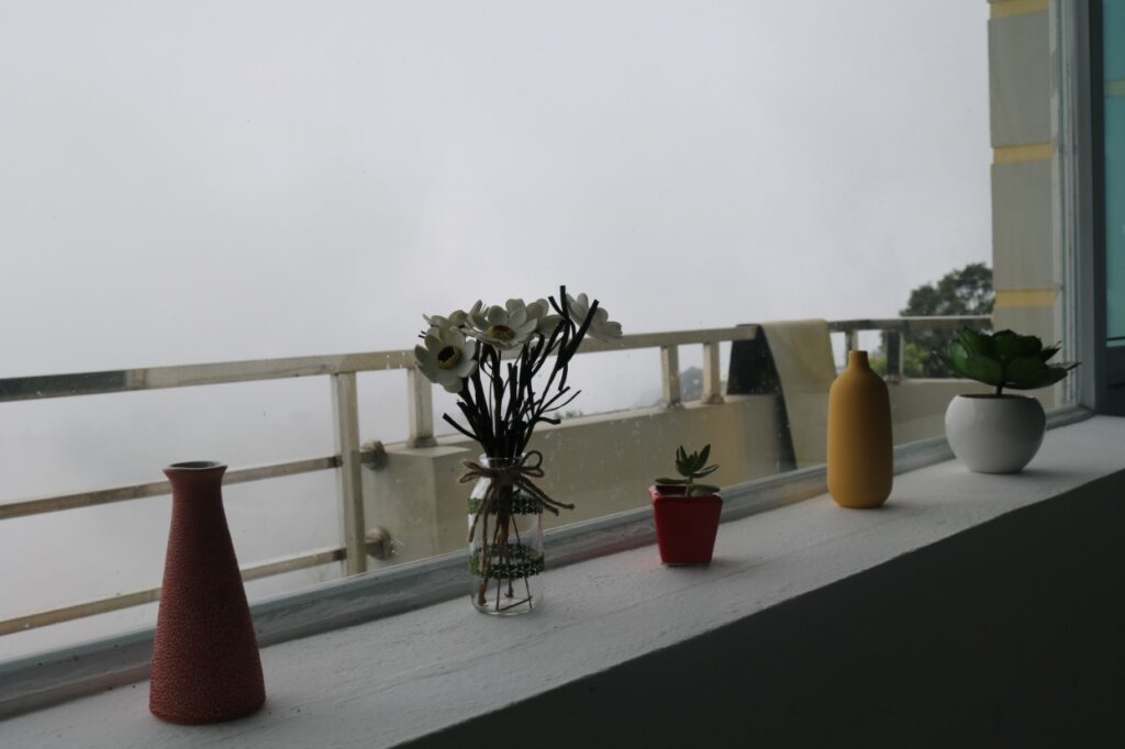 homestay-thi-tran-tam-dao