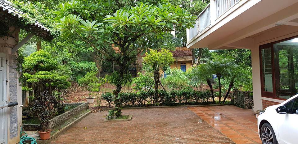 white-house-villa-soc-son-ha-noi