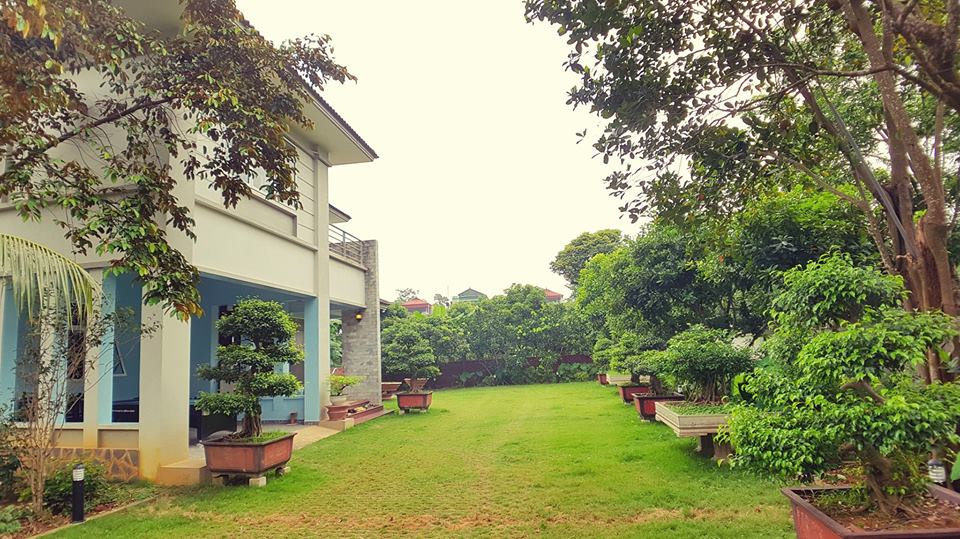 co-house-thach-that-ha-noi