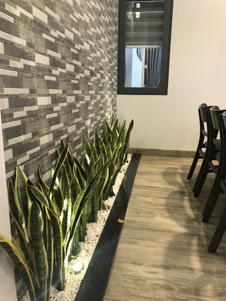 villa-ocean-vung-tau