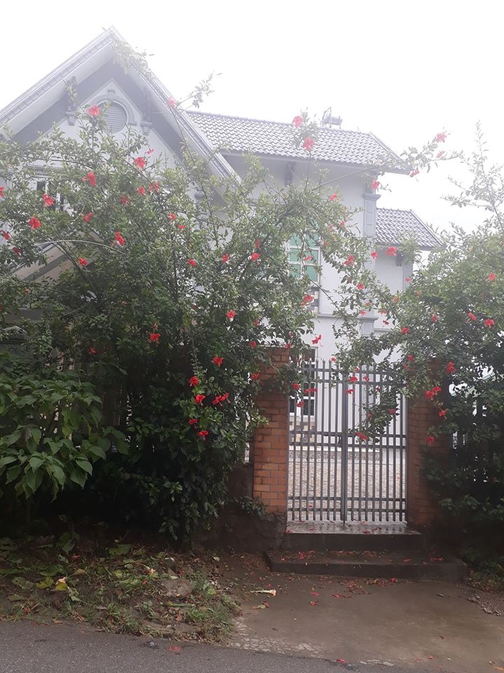 villa-thi-tran-tam-dao-2