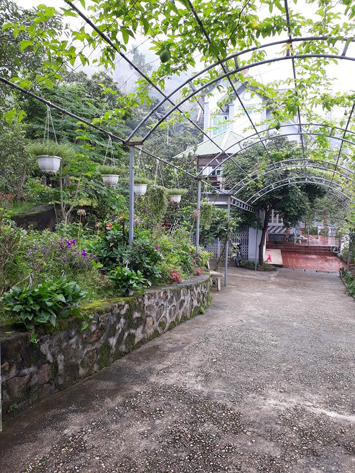 villa-thi-tran-tam-dao-9