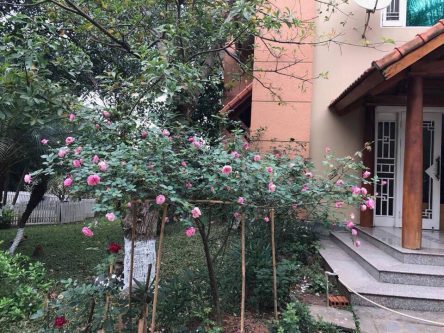 xinh-villa-thach-that-ha-noi