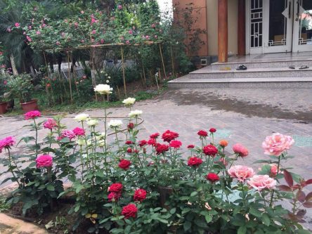 xinh-villa-thach-that-ha-noi